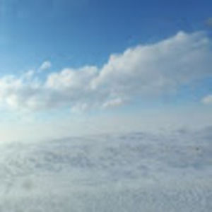 Meet your Posher, Alison